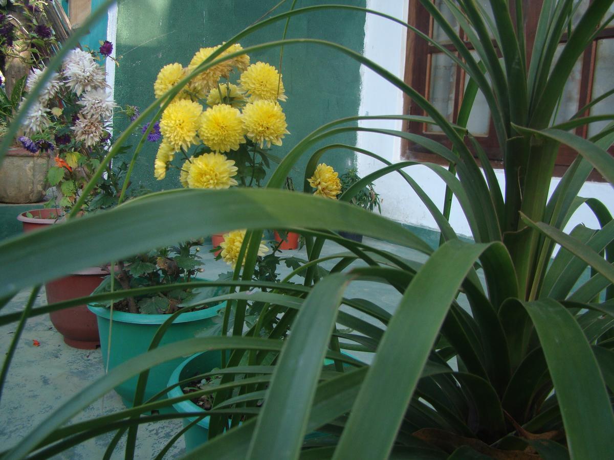 White Heart Hotel Ella Bagian luar foto